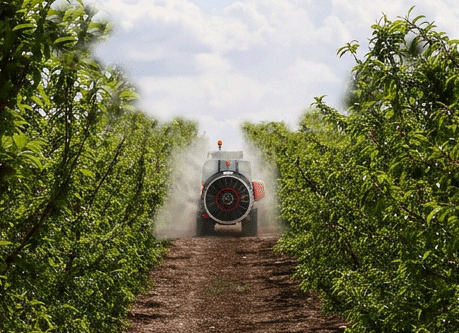 citrus suspendido campo_ai Citrus mounted sprayer working in a fruit tree plantation