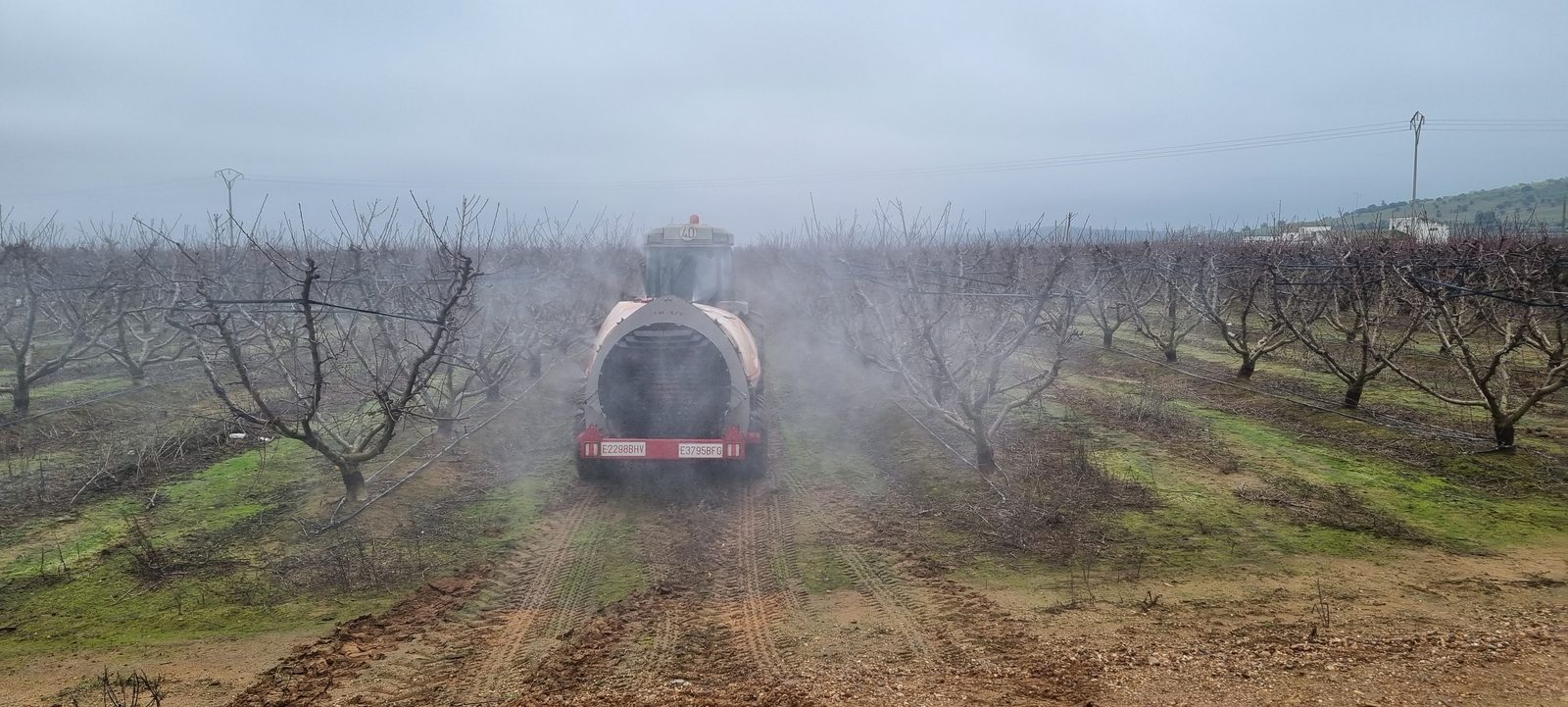 Narrow Twister S5 trailed sprayer treating a fruit tree plantation