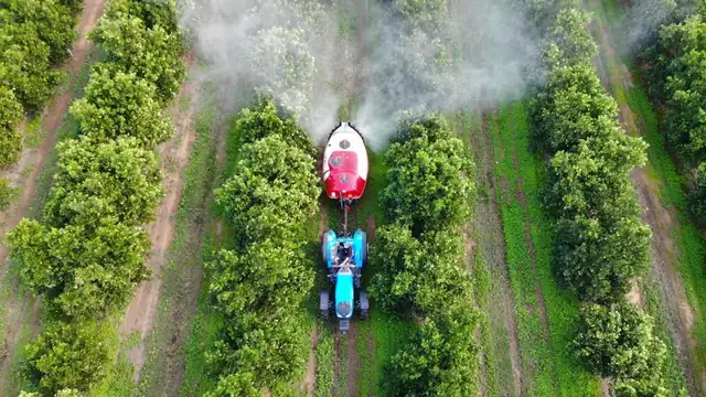 Tractor con atomizador de Mañez y Lozano tratando un naranjal, visto desde un dron
